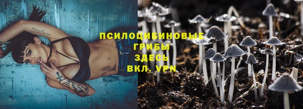 марки lsd Сосновка
