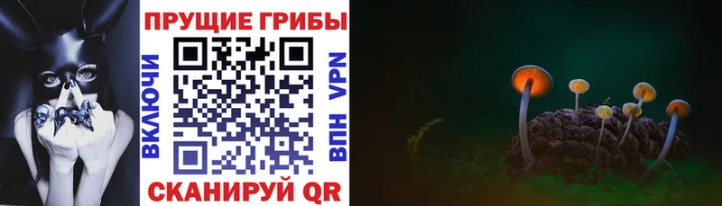 Галлюциногенные грибы GOLDEN TEACHER  Купить закладки  Новошахтинск 