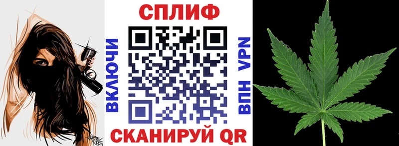 Шишки марихуана планчик Новошахтинск