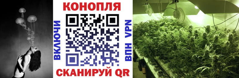 Бошки Шишки план  Купить  Новошахтинск 